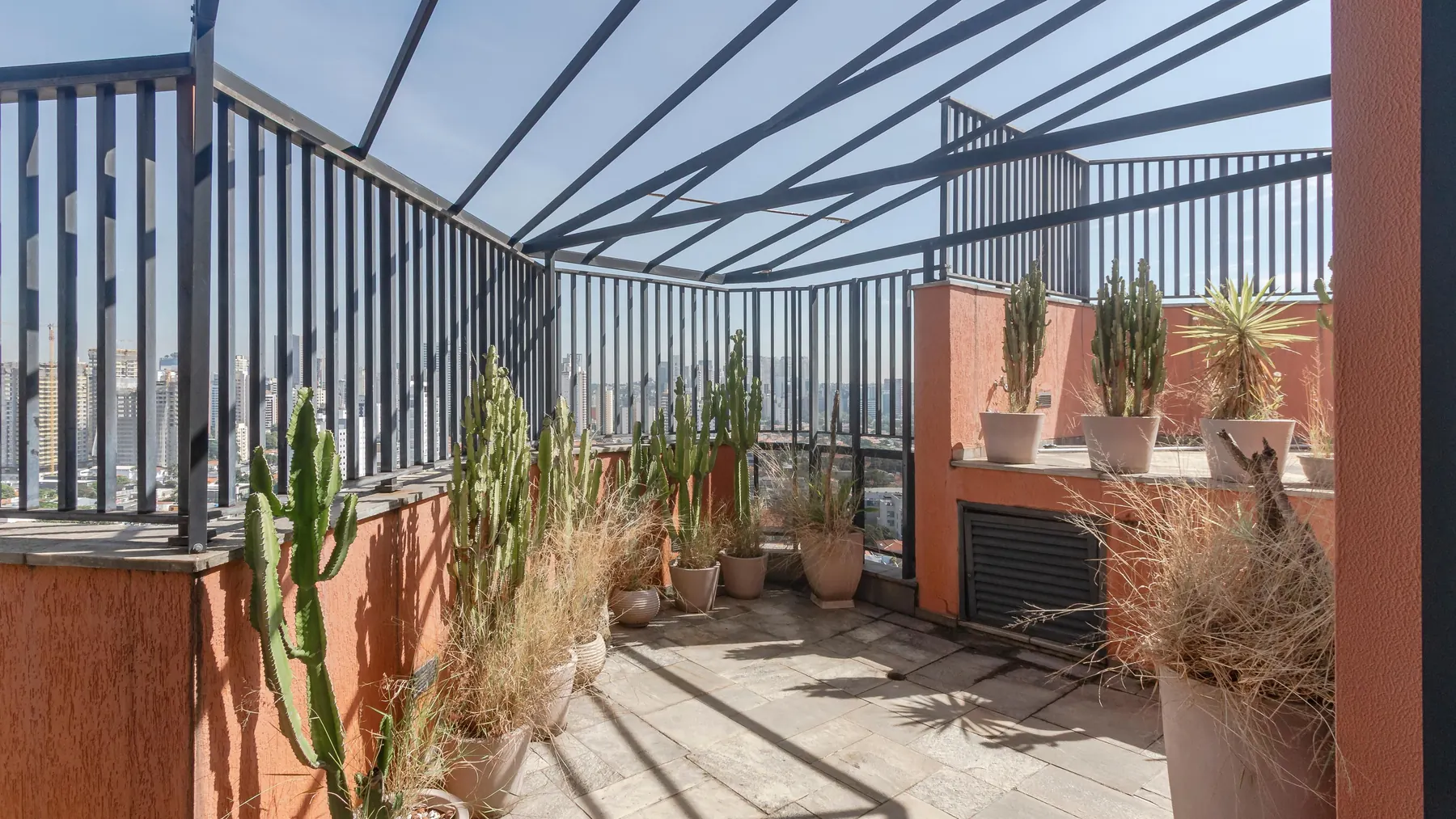 Terraço com pergolado e jardim de cactos
